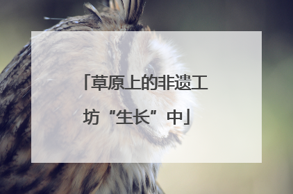 草原上的非遗工坊“生长”中