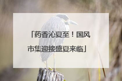 药香沁夏至！国风市集迎接盛夏来临