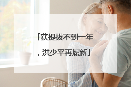 获提拔不到一年，洪少平再履新