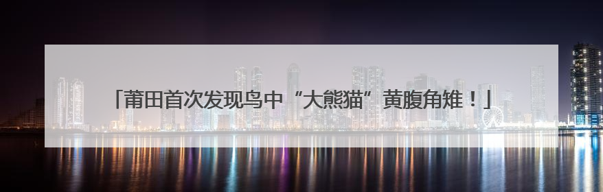 莆田首次发现鸟中“大熊猫”黄腹角雉！