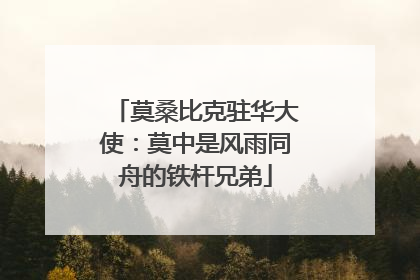 莫桑比克驻华大使：莫中是风雨同舟的铁杆兄弟