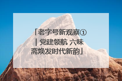 老字号新观察①｜党建领航 六味斋焕发时代新韵