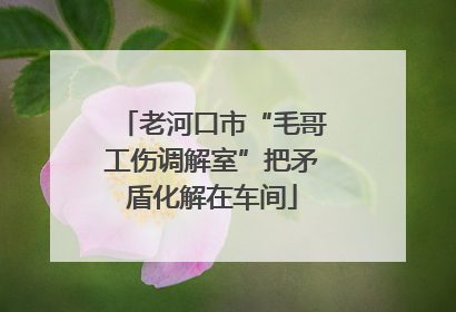 老河口市“毛哥工伤调解室”把矛盾化解在车间