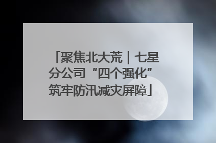 聚焦北大荒｜七星分公司“四个强化”筑牢防汛减灾屏障