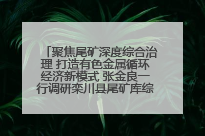 聚焦尾矿深度综合治理 打造有色金属循环经济新模式 张金良一行调研栾川县尾矿库综合治理工作