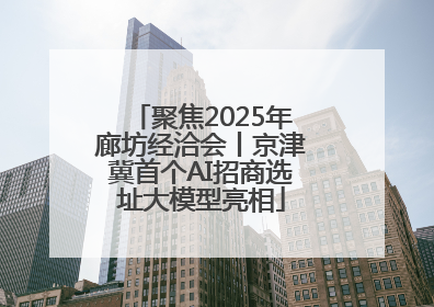 聚焦2025年廊坊经洽会丨京津冀首个AI招商选址大模型亮相