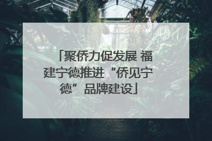 聚侨力促发展 福建宁德推进“侨见宁德”品牌建设
