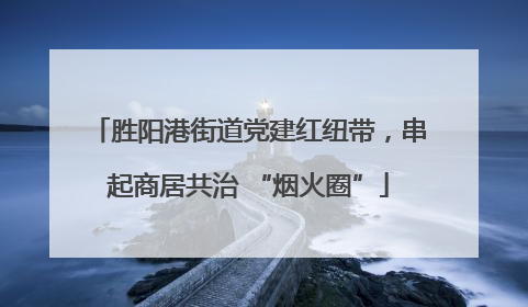 胜阳港街道党建红纽带，串起商居共治 “烟火圈”