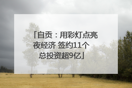 自贡：用彩灯点亮夜经济 签约11个总投资超9亿