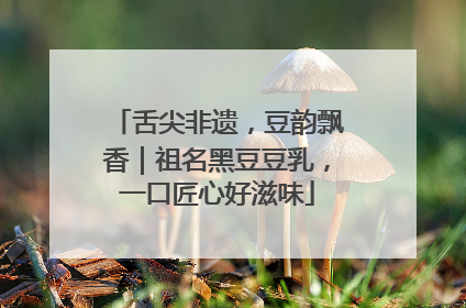 舌尖非遗，豆韵飘香｜祖名黑豆豆乳，一口匠心好滋味