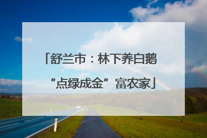 舒兰市：林下养白鹅 “点绿成金”富农家