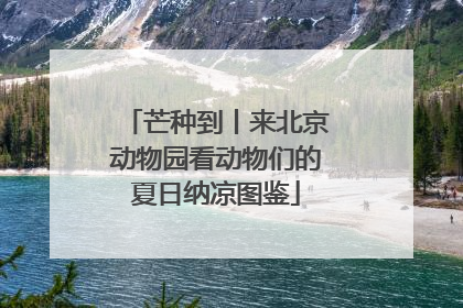 芒种到丨来北京动物园看动物们的夏日纳凉图鉴
