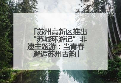 苏州高新区推出“苏城环游记”非遗主题游：当青春邂逅苏州古韵