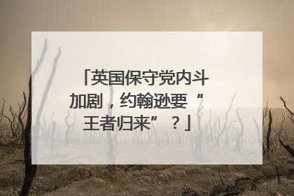 英国保守党内斗加剧，约翰逊要“王者归来”？