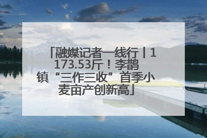 融媒记者一线行丨1173.53斤！李鹊镇“三作三收”首季小麦亩产创新高