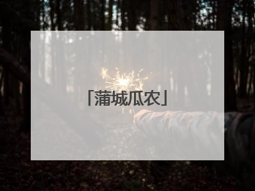蒲城瓜农