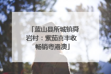 蓝山县所城镇舜岩村：紫茄喜丰收 畅销粤港澳