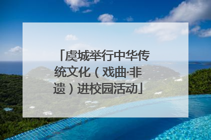 虞城举行中华传统文化（戏曲·非遗）进校园活动
