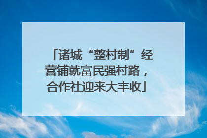 诸城“整村制”经营铺就富民强村路，合作社迎来大丰收