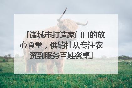 诸城市打造家门口的放心食堂，供销社从专注农资到服务百姓餐桌