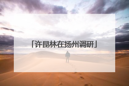 许昆林在扬州调研