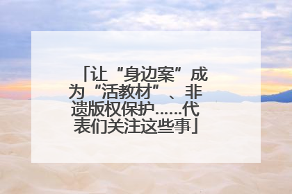 让“身边案”成为“活教材”、非遗版权保护……代表们关注这些事