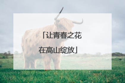 让青春之花在高山绽放