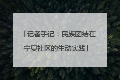 记者手记：民族团结在宁夏社区的生动实践