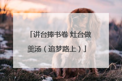 讲台捧书卷 灶台做羹汤（追梦路上）