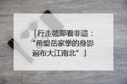 行走赣鄱看非遗：“希望岳家拳的身影遍布大江南北”