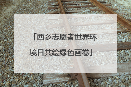 西乡志愿者世界环境日共绘绿色画卷