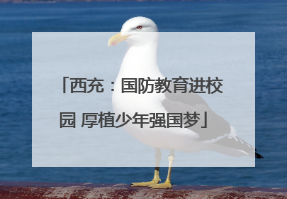 西充：国防教育进校园 厚植少年强国梦