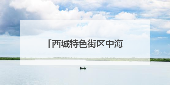 西城特色街区中海大吉巷正式开业，打卡市民真不少