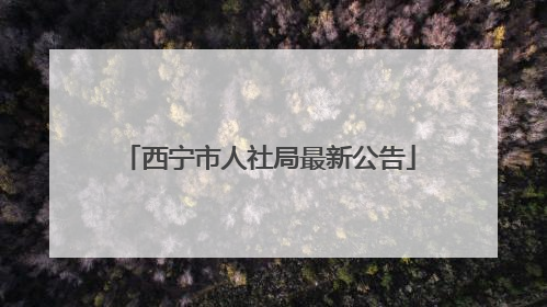 西宁市人社局最新公告