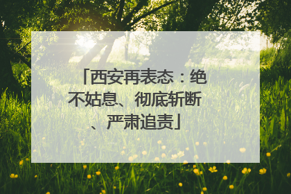 西安再表态：绝不姑息、彻底斩断、严肃追责