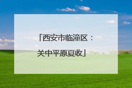 西安市临潼区：关中平原夏收