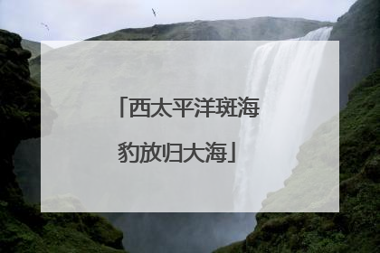 西太平洋斑海豹放归大海