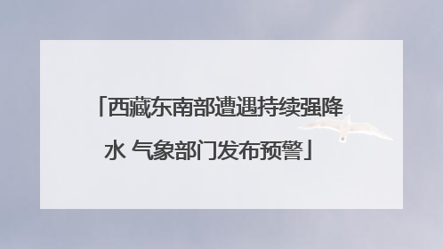 西藏东南部遭遇持续强降水 气象部门发布预警