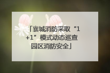 襄城消防采取“1+1”模式动态巡查园区消防安全