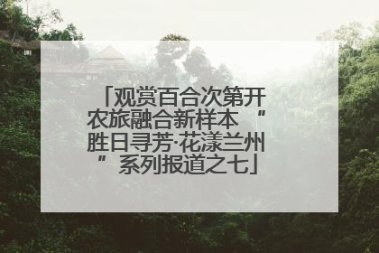 观赏百合次第开 农旅融合新样本 “胜日寻芳·花漾兰州”系列报道之七