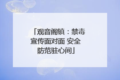 观音阁镇：禁毒宣传面对面 安全防范驻心间