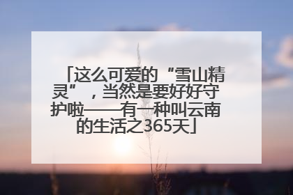 这么可爱的“雪山精灵”，当然是要好好守护啦——有一种叫云南的生活之365天