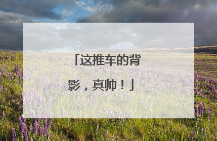这推车的背影，真帅！