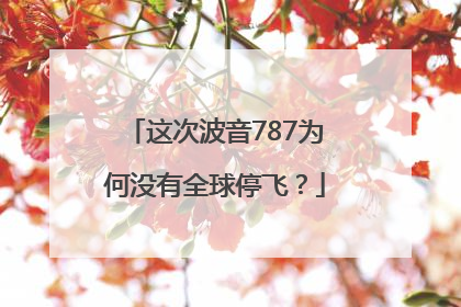 这次波音787为何没有全球停飞？