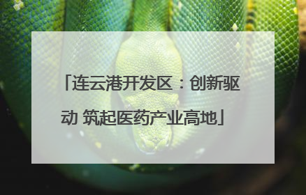 连云港开发区：创新驱动 筑起医药产业高地