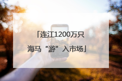 连江1200万只海马“游”入市场