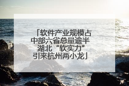 软件产业规模占中部六省总量逾半 湖北“软实力”引来杭州两小龙
