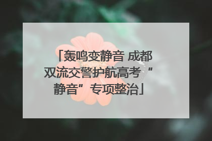 轰鸣变静音 成都双流交警护航高考“静音”专项整治