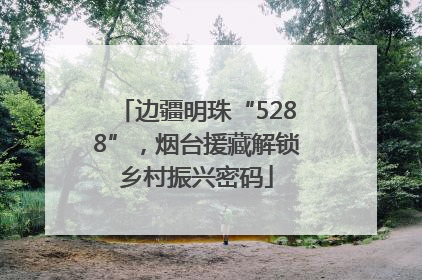 边疆明珠“5288”，烟台援藏解锁乡村振兴密码