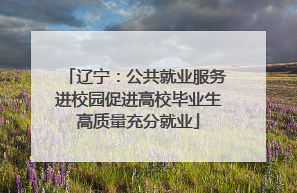 辽宁：公共就业服务进校园促进高校毕业生高质量充分就业